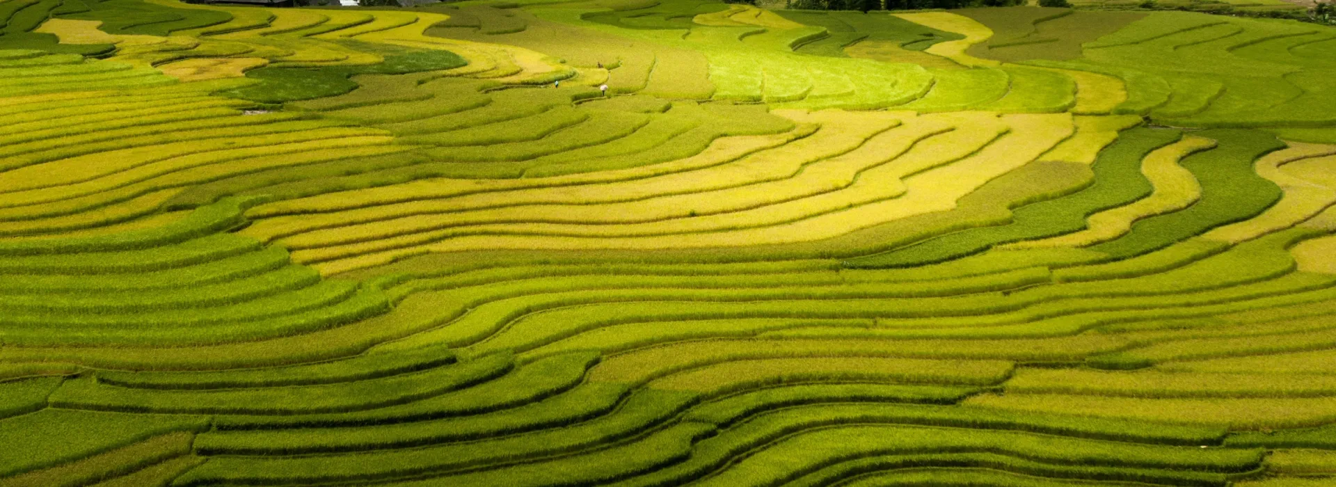 Sapa Scenic Discovery Tour